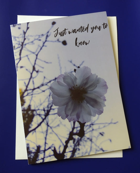 Thinking of You Greeting Card